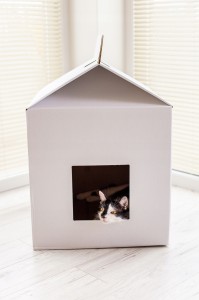 Drapak dla kota KARTONOWY MLEKO duży domek
