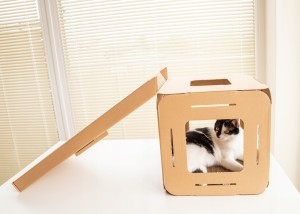 Domek dla kota KARTONOWY kostka pochylnia