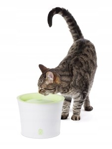 Fontanna z Poidłem - Catit Design Fresh&Clean 3l