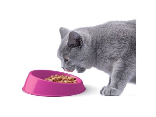 YARRO Miska Plastikowa Dla Kota Vibrissa, Przyjazna Dla Wąsów, 15x5cm Mix