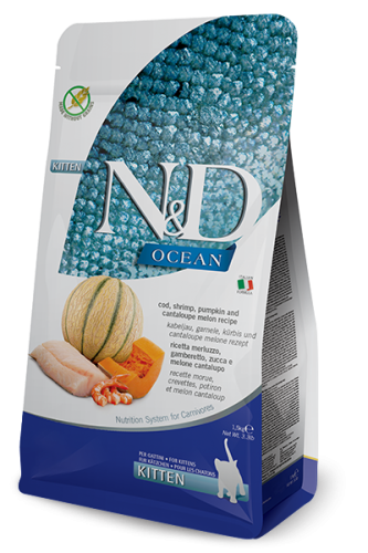 N&D Cat Ocean Dorsz, Krewetki, Dynia i Melon Kitten 300g