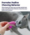 Petstages Dental Shrimpies, Kolorowe Krewetki, 2 sztuki,  Zabawka Wspomagająca Czyszczenie Zębów! 