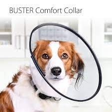 Buster Comfort Collar 10 cm, Kołnierz Pozabiegowy z Gumowym Miękkim Paskiem Wokół Krawędzi