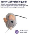 Petstages Squeak Squeak Mouse, Myszka z Kocimiętką Wydająca Naturalny Dźwięk! Aktywowana Dotykiem! Nowość!