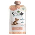 Schesir Kitten Care 0-6 Miesięcy w Kremie, Kurczak, 150g,  Kompletna Karma ! Niezwykle Delikatny i Gładki Krem! Nowość! 