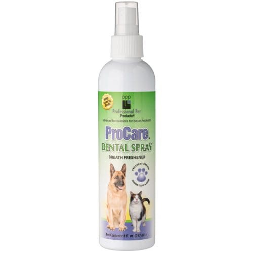 PPP ProCare Dental Spray 236ml, Delikatne Czyszczenie Zębów i Dziąseł i Odświeżenie Oddechu! Nowość!