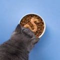 Inaba Churu Meal Topper 4x14g Tuńczyk i Przegrzebki! Zachęca do Jedzenia! Pełnowartościowy Dodatek Do Jedzenia W Postaci Pasty! Może Również Zastąpić Cały Posiłek! Nowość!   