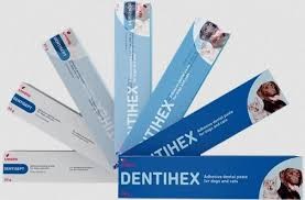 Dentihex Dawniej Dentisept,  Adhezyjna Pasta Do Zębów Dla Psa i Kota,  20g, Wspomaga Usuwanie Płytki i Kamienia Nazębnego i Leczenie Zapalenia Dziąseł! Nowa Nazwa i Opakowanie!