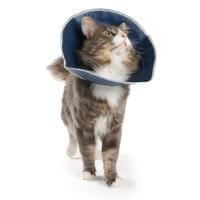 Krusse Miękki Wodoodporny Kołnierz Pozabiegowy, Wysokość 14 cm, Obwód 32 cm, Możliwość Regulacji Obwodu, Nowość!