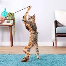 Kong Cat Teaser Swizzle Bird Pluszowa Miękka Wędka Dla Kota Zakończona Piórkami! Imituje Ruch Ptaka! Długość Pluszu Z Piórkami ok. 80 cm! Nowość!