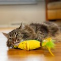 Catstages Peelin' Good Banan Kicker Dental Catnip Toy! Wesoły Pluszowy Szeleszczący Banan Z Kocimiętką I Piórkami! Z Siateczką Wspomagającą Czyszczenie Zębów! Idealny Do Kopania I Gryzienia! Nowość!