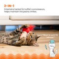 Catstages Really Fungi Kicker Dental Catnip Toy! Wesoły Pluszowy Szeleszczący Grzybek Z Kocimiętką I Piórkami! Z Siateczką Wspomagającą Czyszczenie Zębów! Idealny Do Kopania I Gryzienia! Nowość! 