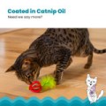 Catstages Dental Strawberry Teether! Gryzak Z Piórkami Dla Kociąt I Dorosłych Kotów Ułatwiający Czyszczenie Zębów! Idealny Również Na Czas Ząbkowania! Pokryty Olejkiem Z Kocimiętki! Tekstura I Materiał Gryzaka Dopasowane Idealnie Do Kocich Zębów! Nowość! 