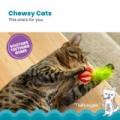 Catstages Dental Strawberry Teether! Gryzak Z Piórkami Dla Kociąt I Dorosłych Kotów Ułatwiający Czyszczenie Zębów! Idealny Również Na Czas Ząbkowania! Pokryty Olejkiem Z Kocimiętki! Tekstura I Materiał Gryzaka Dopasowane Idealnie Do Kocich Zębów! Nowość! 