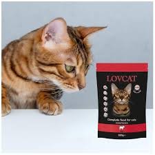 Lovcat PURE Czysta Wołowina Saszetka 100g, Bardzo Duża Dawka Tauryny! Dodatek DL-Metioniny Zakwaszającej Mocz! 