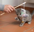 ZOLUX Zabawka Chatouille Zabawka Dla Kota Wędka Bambusowa 48,8 cm Szeleszczący Ptaszek W Szaliku! Z Kocimiętką I Dzwoneczkiem! Nowość!