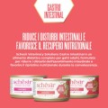 Schesir Veterinary Solutions Gastrointestinal Delikatny Mus Z Kurczaka 80g! Pełnowartościowa Karma! Wsparcie Organizmu W Przypadku Ostrych Zaburzeń Wchłaniania Jelitowego! Nowość!  